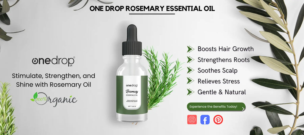 Rosemary-Essential-Oil-Benefits-for-Your-Mind-Body-and-Home OneDropPak
