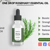 Rosemary-Essential-Oil-Benefits-for-Your-Mind-Body-and-Home OneDropPak
